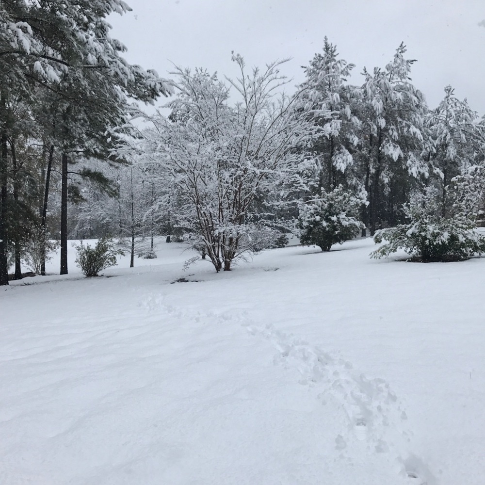 Closet Temporarily Closed....